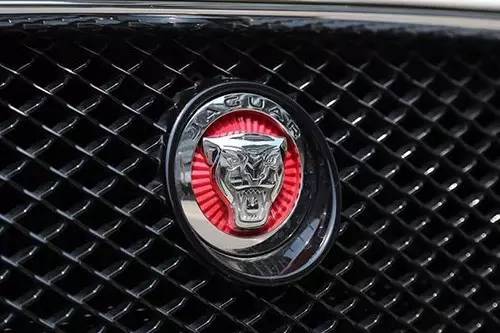 車標(biāo)上的動(dòng)物都是啥來頭？看完又能出去裝X了