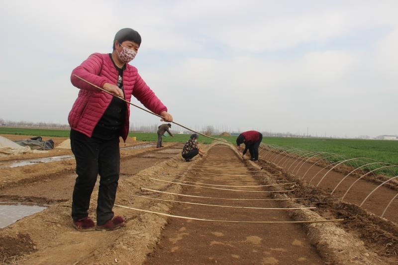 疫情防控、春耕生產(chǎn)兩手抓