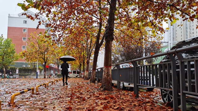 雨中周口，別有一番韻味