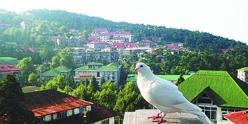  有著“云中山城”之稱的牯嶺鎮(zhèn)面臨著遷民下山。